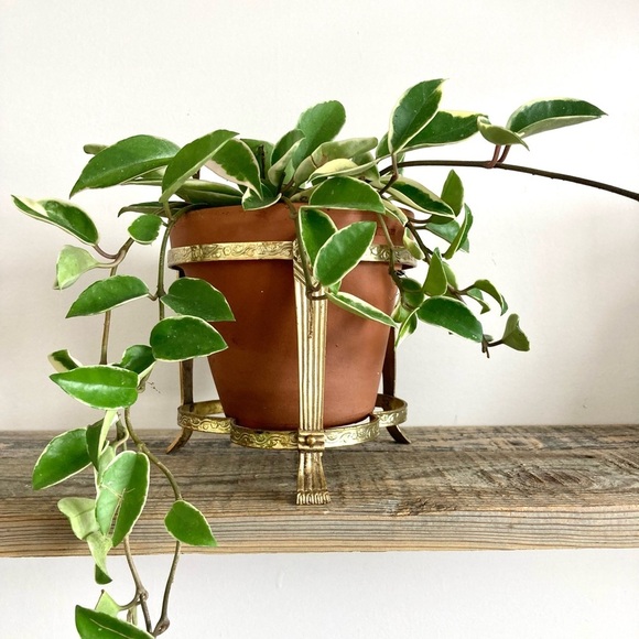 Other - Brass plant stand